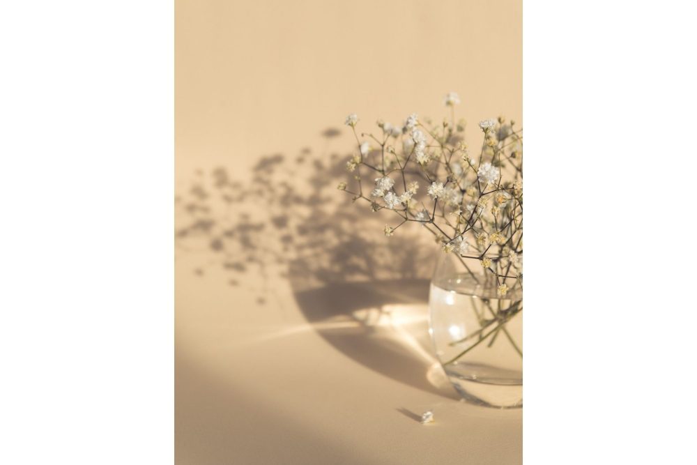 Poster White Flowers 21x30 cm