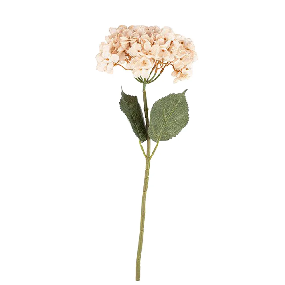 Konstväxt Hydrangea - Bild 2