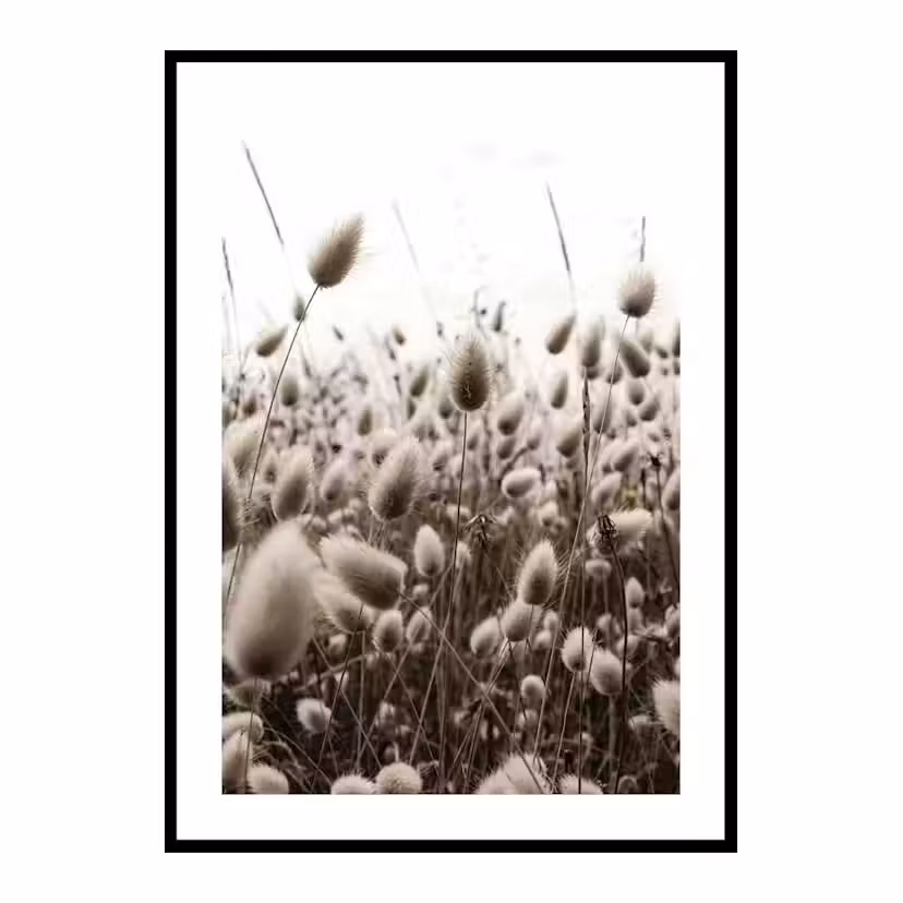 Poster Gallerix Reeds Field Storlek: 50x70 cm