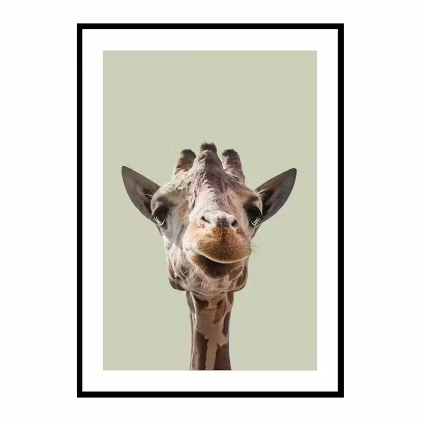 Poster Gallerix Smiling Giraffe Storlek: 30x40 cm