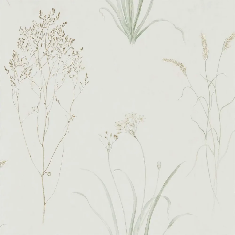 Embleton Bay Farne Grasses Debb216488 Tapet | Stuvbutiken