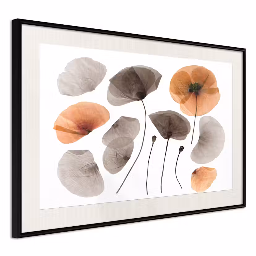 Poster Artgeist Affisch Meadow Herbarium Svart ram med passepartout, 30x20 cm