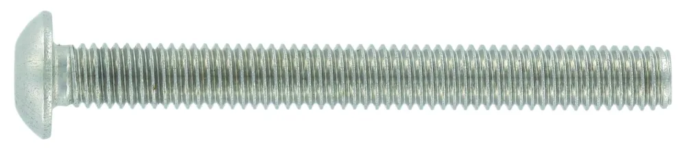 Schäfer & Peters 73801456 Sexkanthålsskruv M5 K6S A4, ISO 7380, 500-pack M5 x 6 mm