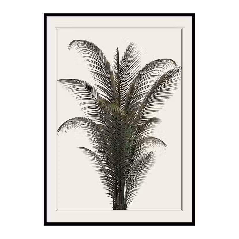 Poster Gallerix Palm Tree Storlek: 21x30 cm