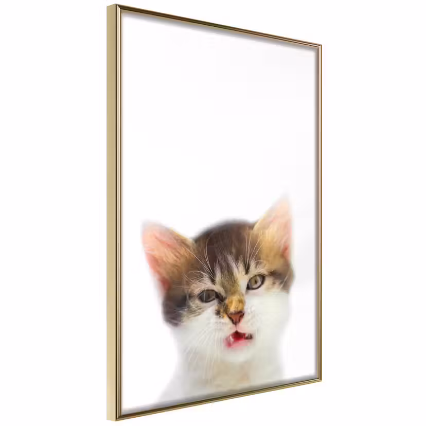 Poster Artgeist Affisch Vexed Cat Guld ram, 40x60 cm