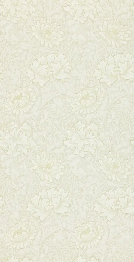 Morris & Co - Chrysanthemum Chalk Morris 160th Anniversary