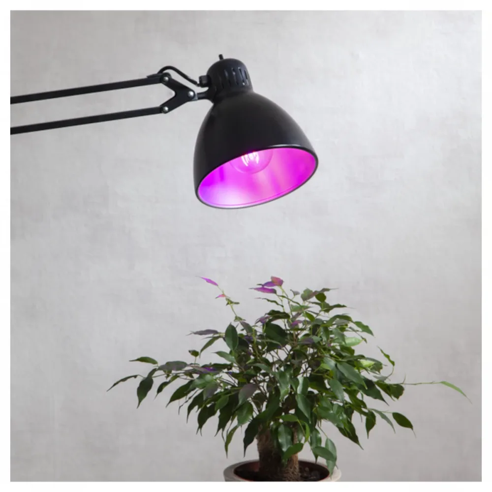 Led Lampa A60 Plant Light - Bild 3
