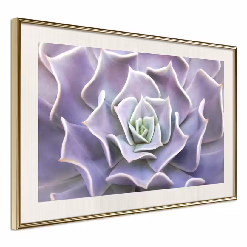 Poster Artgeist Affisch Purple Succulent Guld ram med passepartout, 45x30 cm