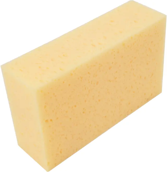 Kakelsvamp