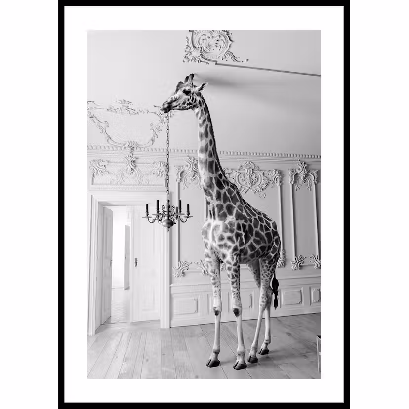Poster Gallerix Giraffe Indoor B&W 21x30 cm