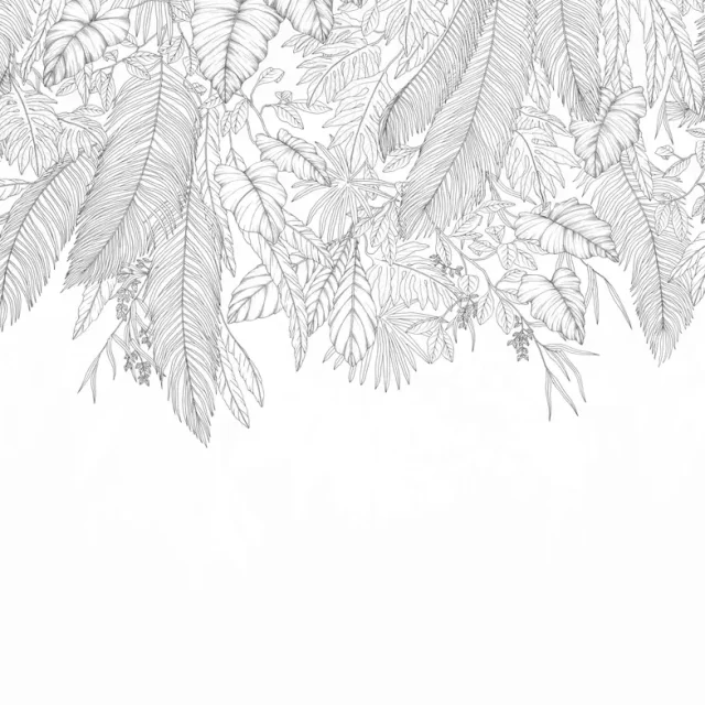 Caselio - Caselio - Descendant Jungle Noir Et Blanc 300X280