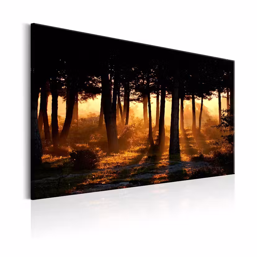 Tavla Arkiio Forest Dawn 90x60 cm