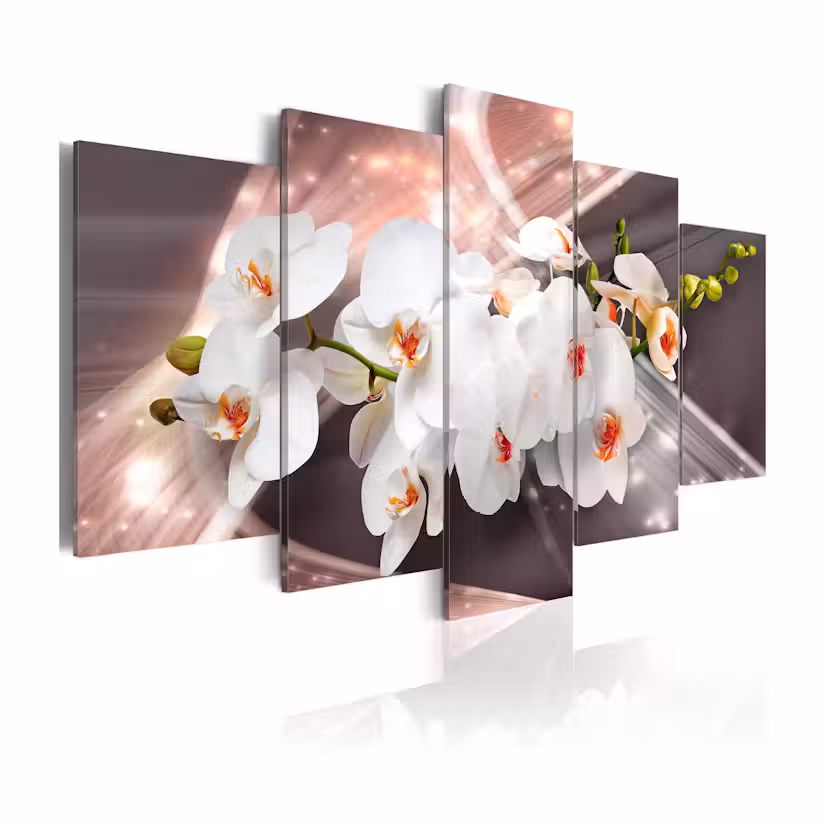 Tavla Arkiio Echo Of Beauty 100x50 cm
